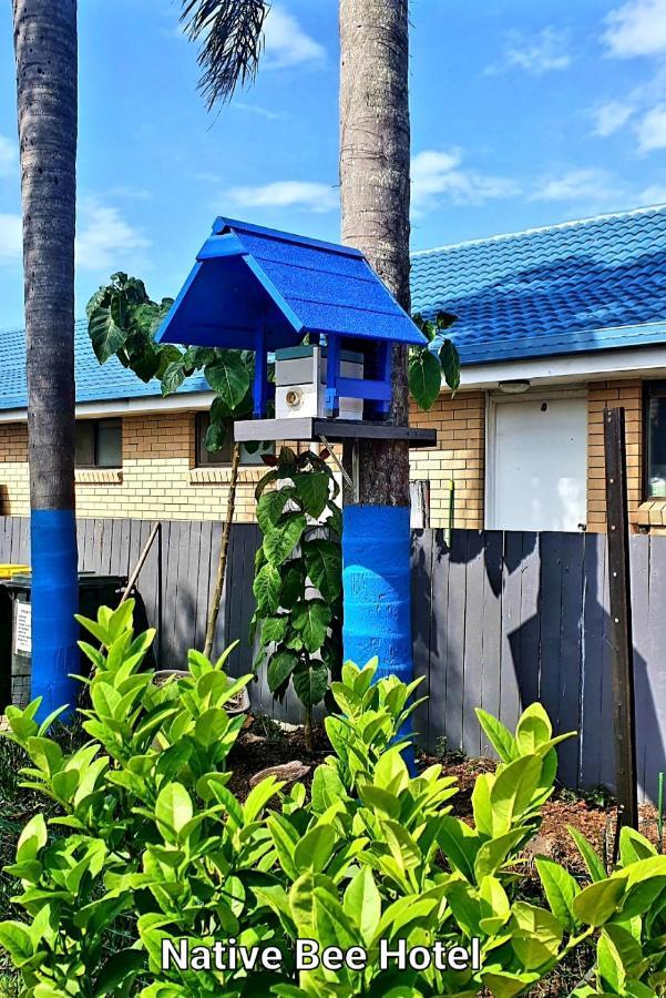 City Lights Motel Tweed Heads Kültér fotó
